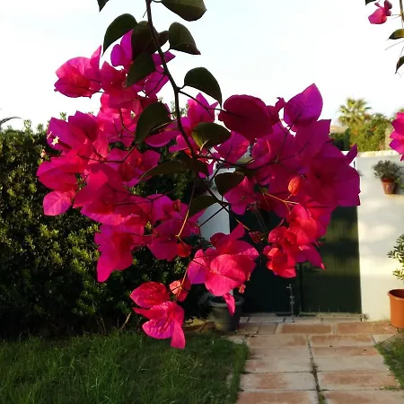 Lunas Hébergement de vacances Cala'N Bosch (Menorca)